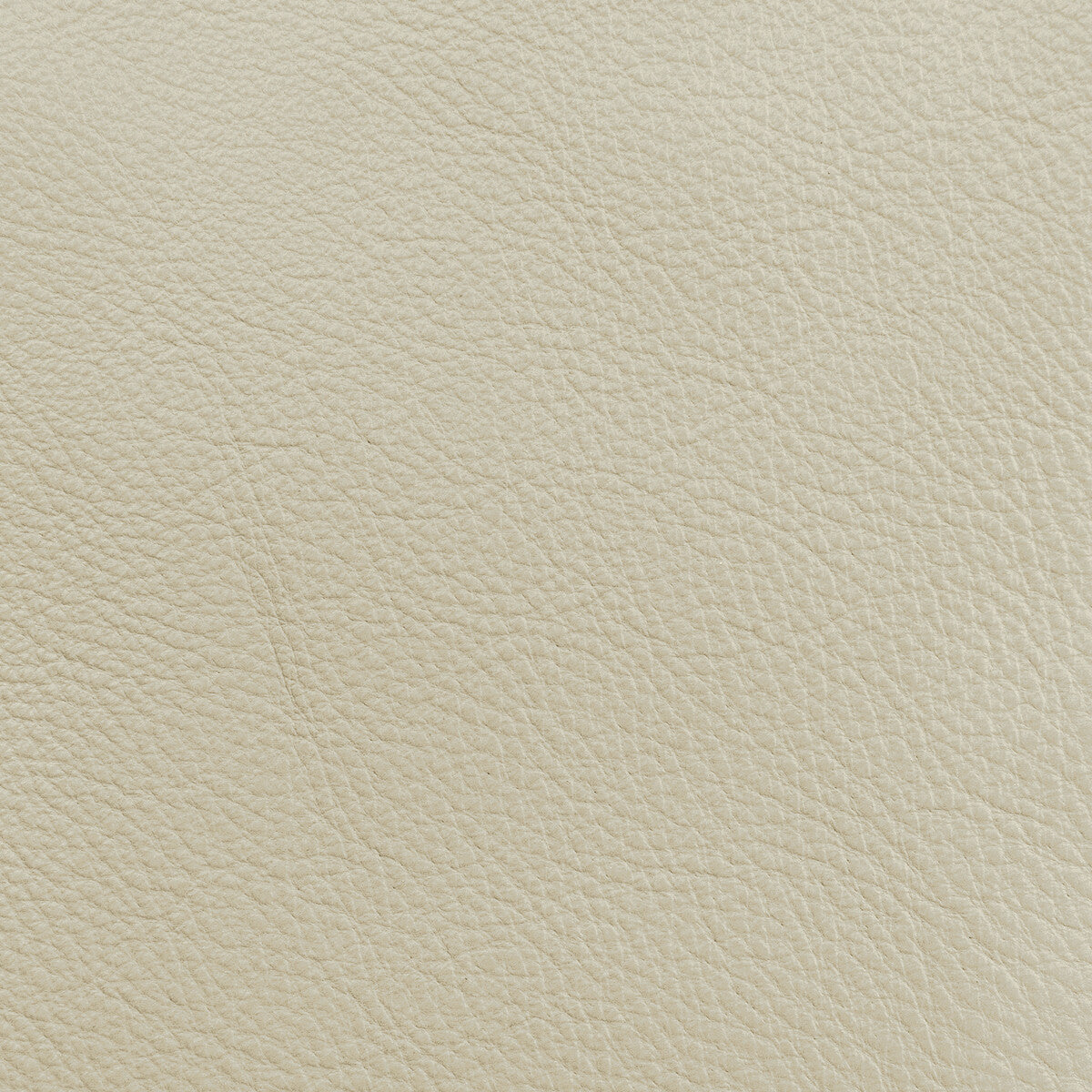 Donghia Lucky Leather Bone Fabric Sample L6021108.BONE.0