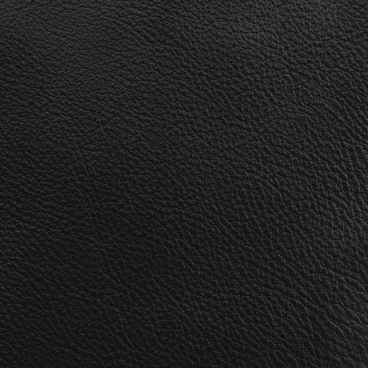 Donghia Lucky Leather Charcoal Fabric Sample L6021108.CHARCOAL.0