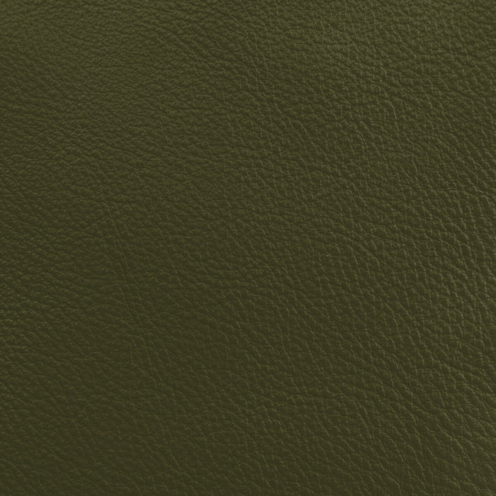 Donghia Lucky Leather Lichen Fabric L6021108.LICHEN.0