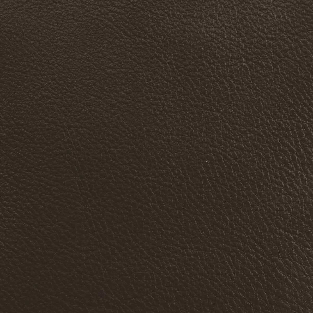 Donghia Lucky Leather Tobacco Fabric Sample L6021108.TOBACCO.0