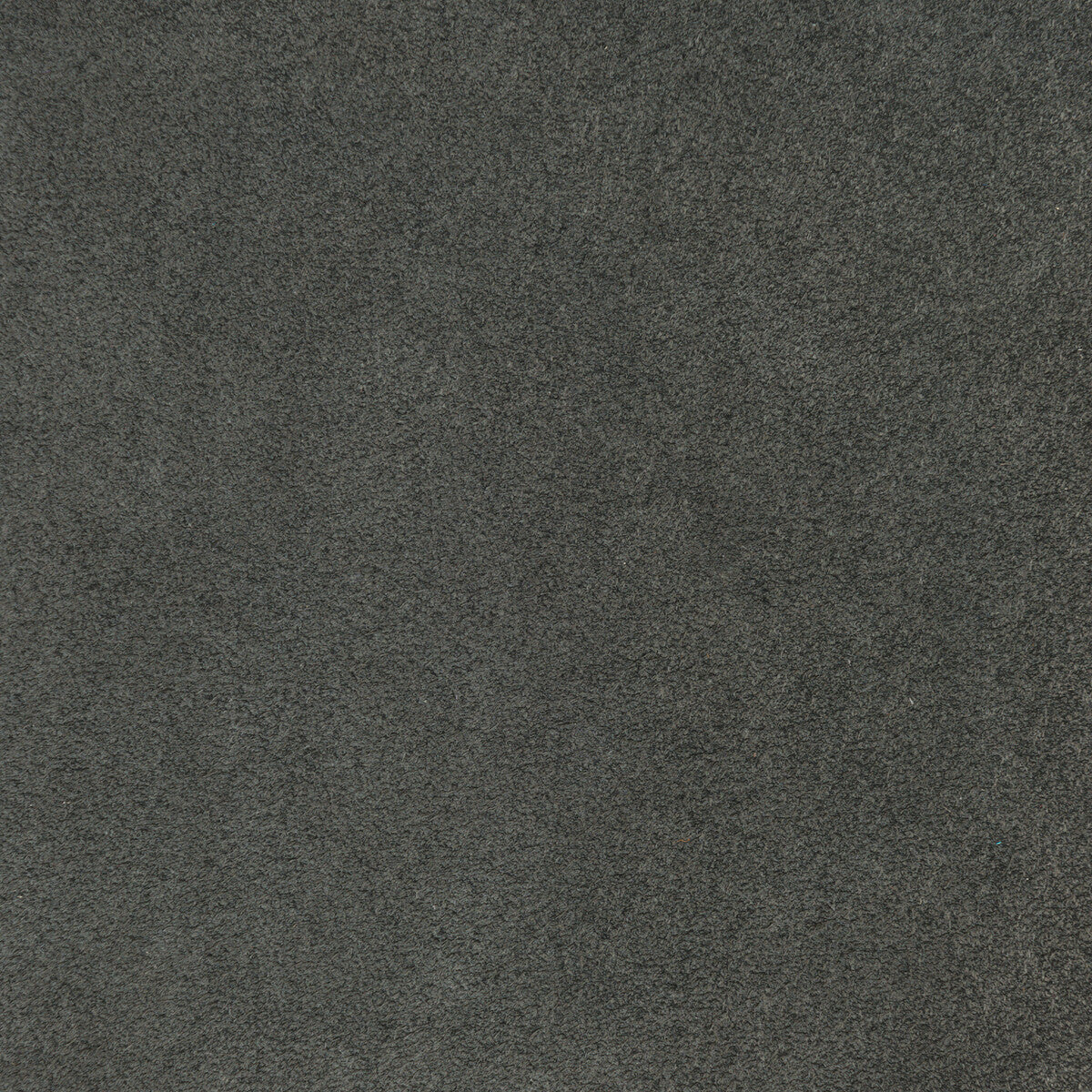 Donghia Touchy Feely Flannel Fabric Sample L6021110.FLANNEL.0