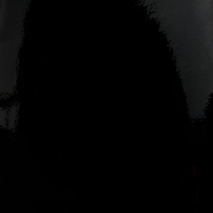 Donghia Black Swan Patent Fabric L6021111.PATENT.0