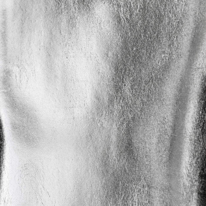 Donghia Award Winner Silver Fabric Sample L6021114.SILVER.0