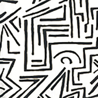 Alan Campbell Lascaux Black Wallpaper AP204-8