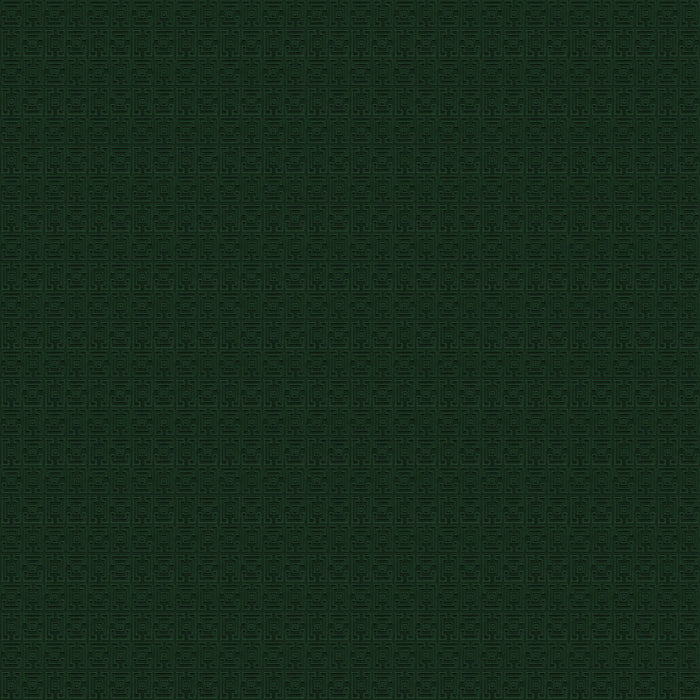Gaston Y Daniela Conde De Aranda Verde Fabric Sample LCT1133.014.0