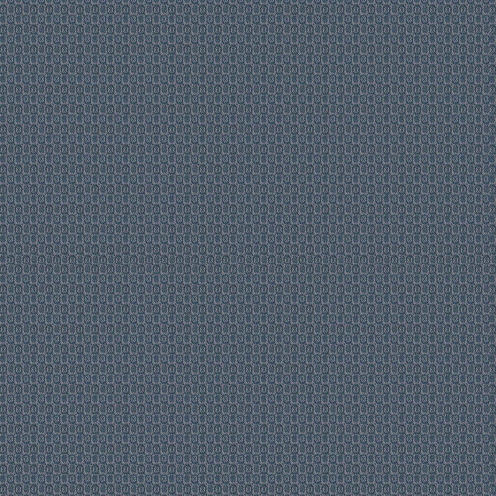 Gaston Y Daniela Sobresaliente Oscuro Fabric Sample LCT1138.009.0