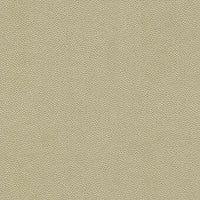 Kravet Design Litestar Sand Fabric LITESTAR.116.0