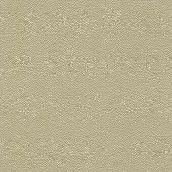 Kravet Design Litestar Sand Fabric Sample LITESTAR.116.0