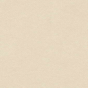 Kravet Design LITESTAR.1.0 Litestar-1 Fabric Sample