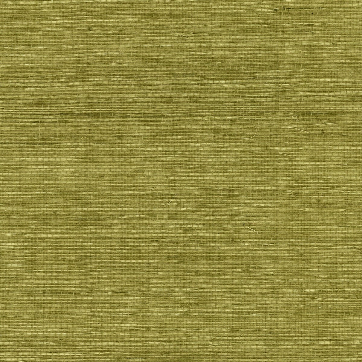 Lillian August Sisal Grasscloth Olive Wallpaper Sample LN11804