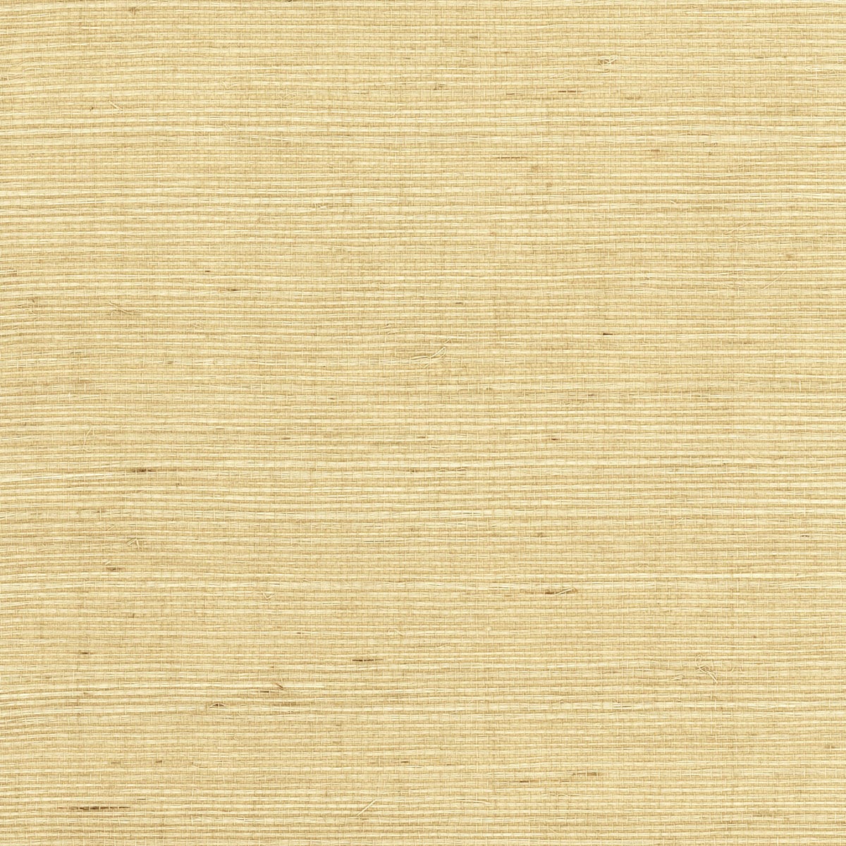 Lillian August Sisal Grasscloth Desert Limestone Wallpaper Sample LN11817