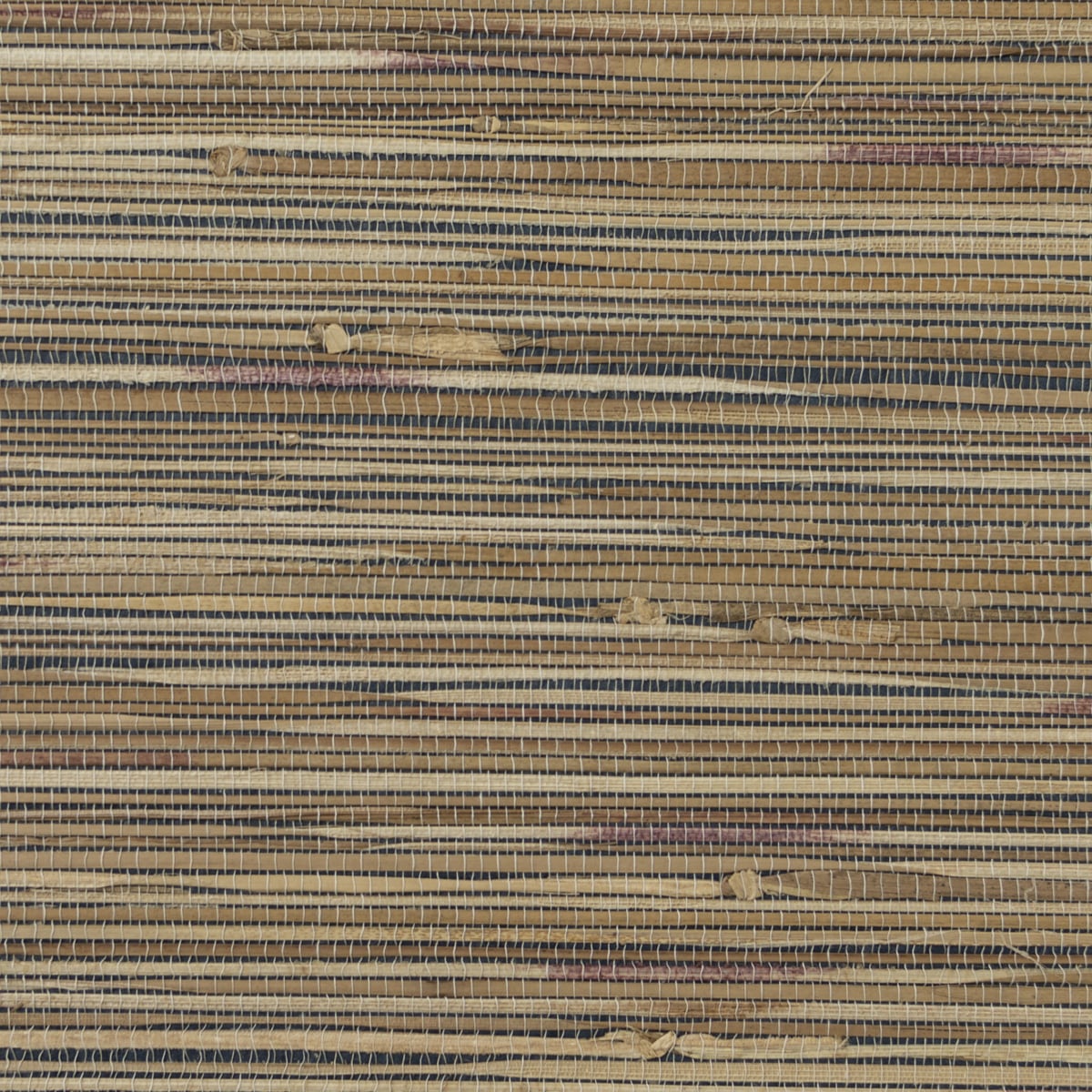 Lillian August Boodle Maize Wallpaper LN11819
