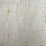 Lillian August Cork Silver Birch & Metallic Gold Wallpaper LN11859