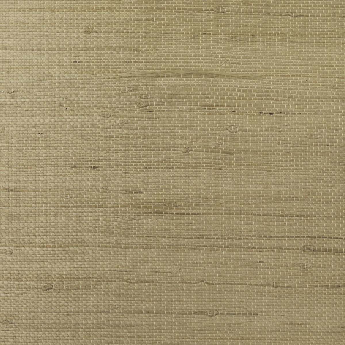 Lillian August Jute Oat Wallpaper Sample LN11875