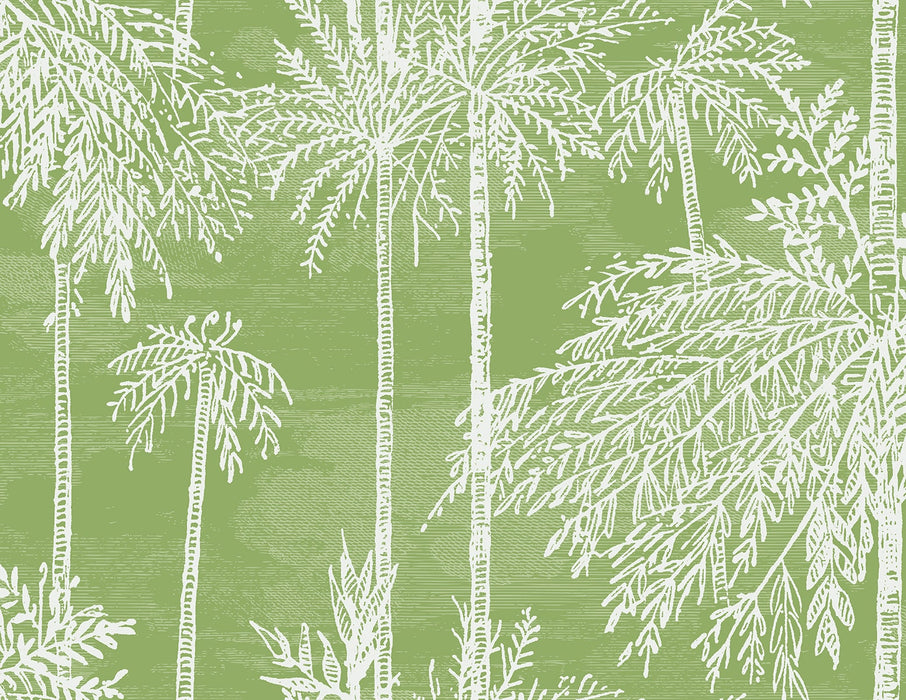 Lillian August Palm Grove  Summer Fern Wallpaper Sample LN40204