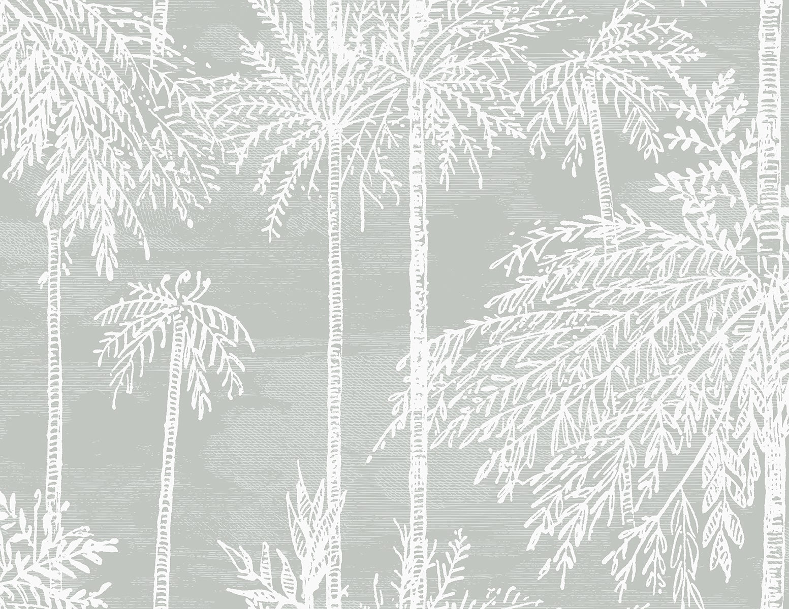 Lillian August Palm Grove  Misty Wallpaper Sample LN40208
