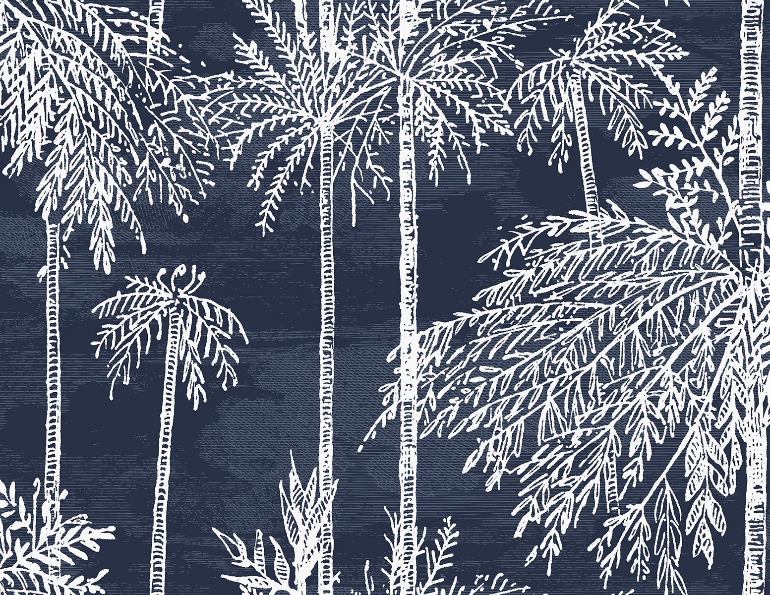 Lillian August Palm Grove  Midnight Sky Wallpaper Sample LN40212