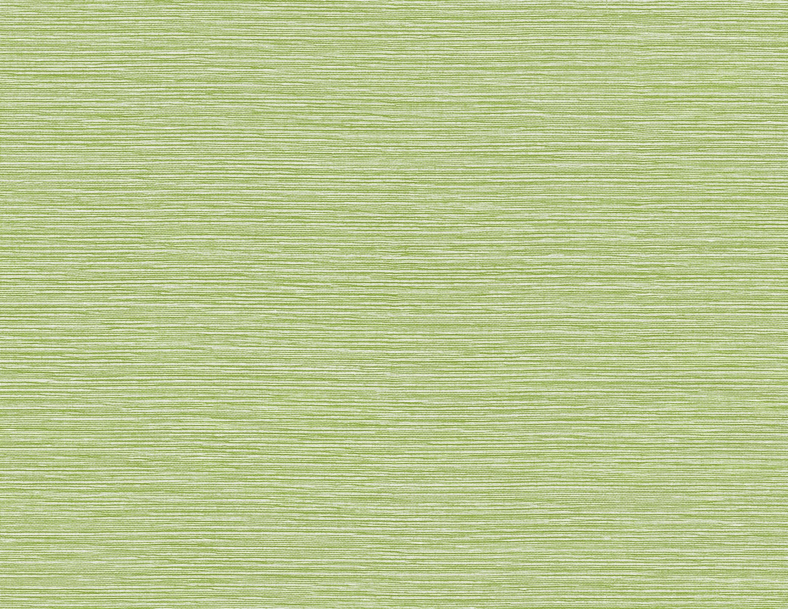 Lillian August Tiger Island Faux Sisal Meadow Wallpaper Sample LN40404