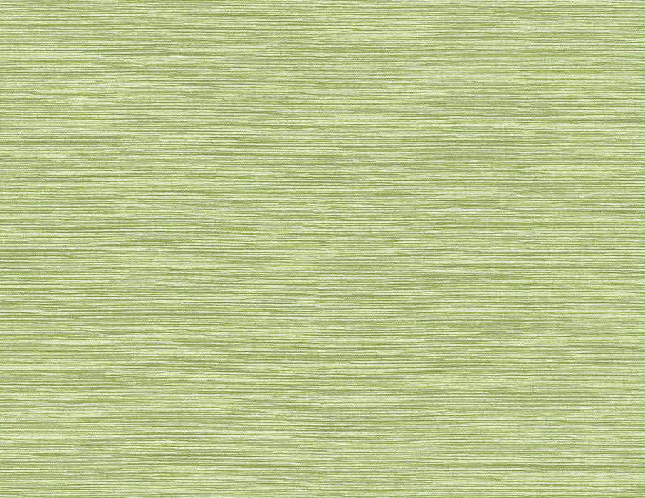 Lillian August Tiger Island Faux Sisal Meadow Wallpaper Sample LN40404