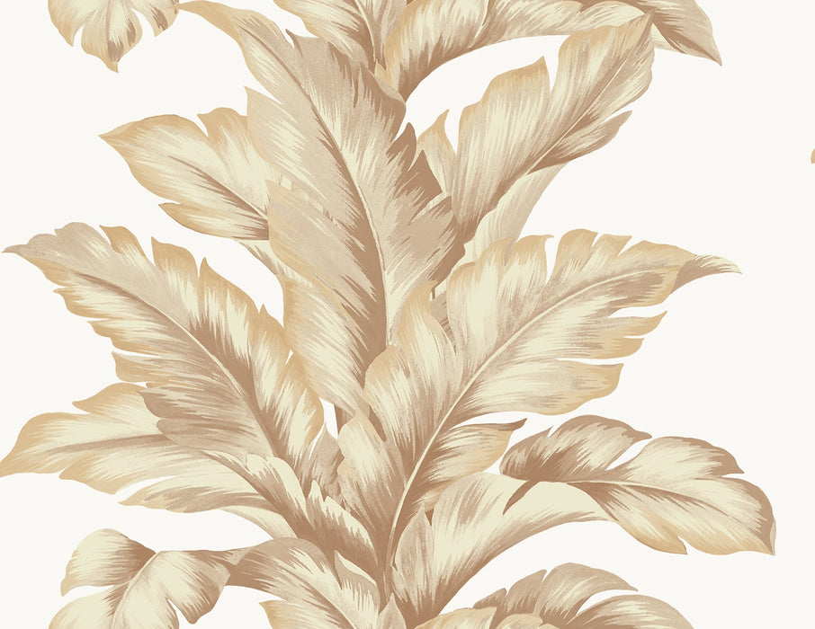 Lillian August Banana Springs  Peachy Wallpaper Sample LN40606