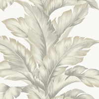 Lillian August Banana Springs  Fieldstone Wallpaper LN40607