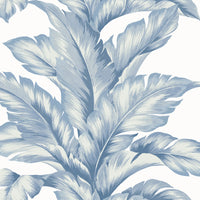Lillian August Banana Springs  Blue Skies Wallpaper LN40632