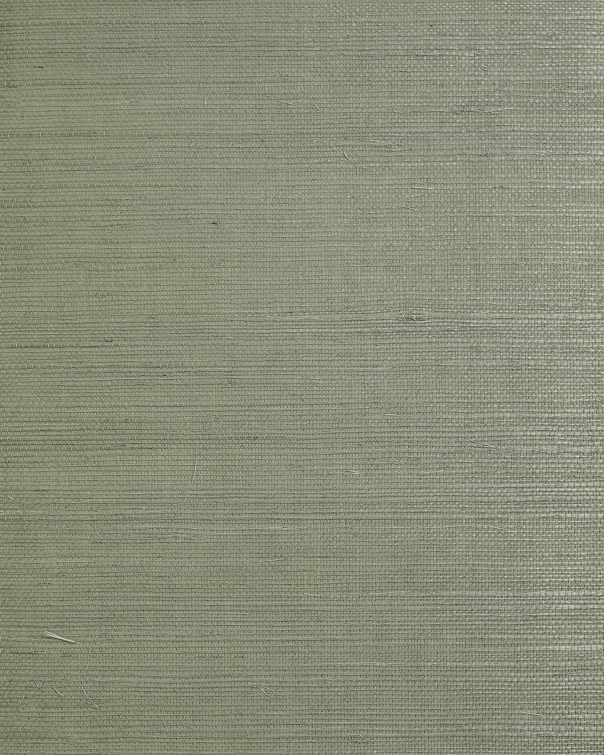 Lillian August Regular Weave Sisal Sage Wallpaper Sample LN50025
