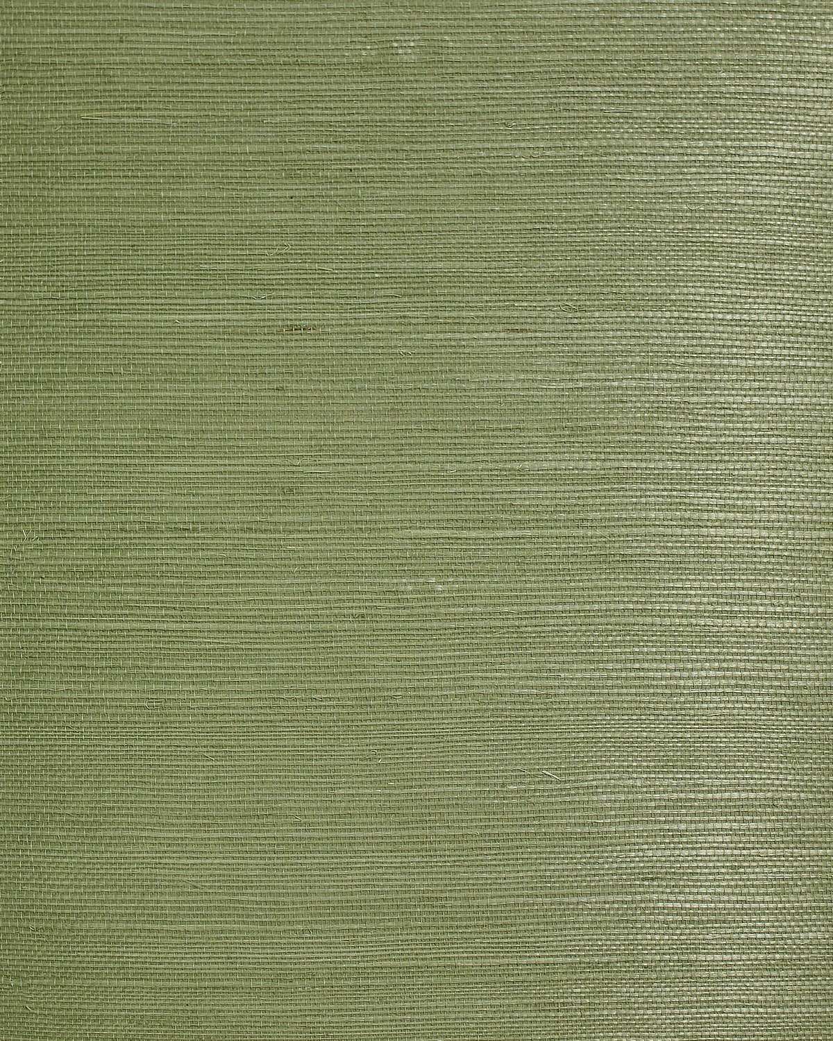 Lillian August Sisal Leaf Wallpaper Sample LN50030