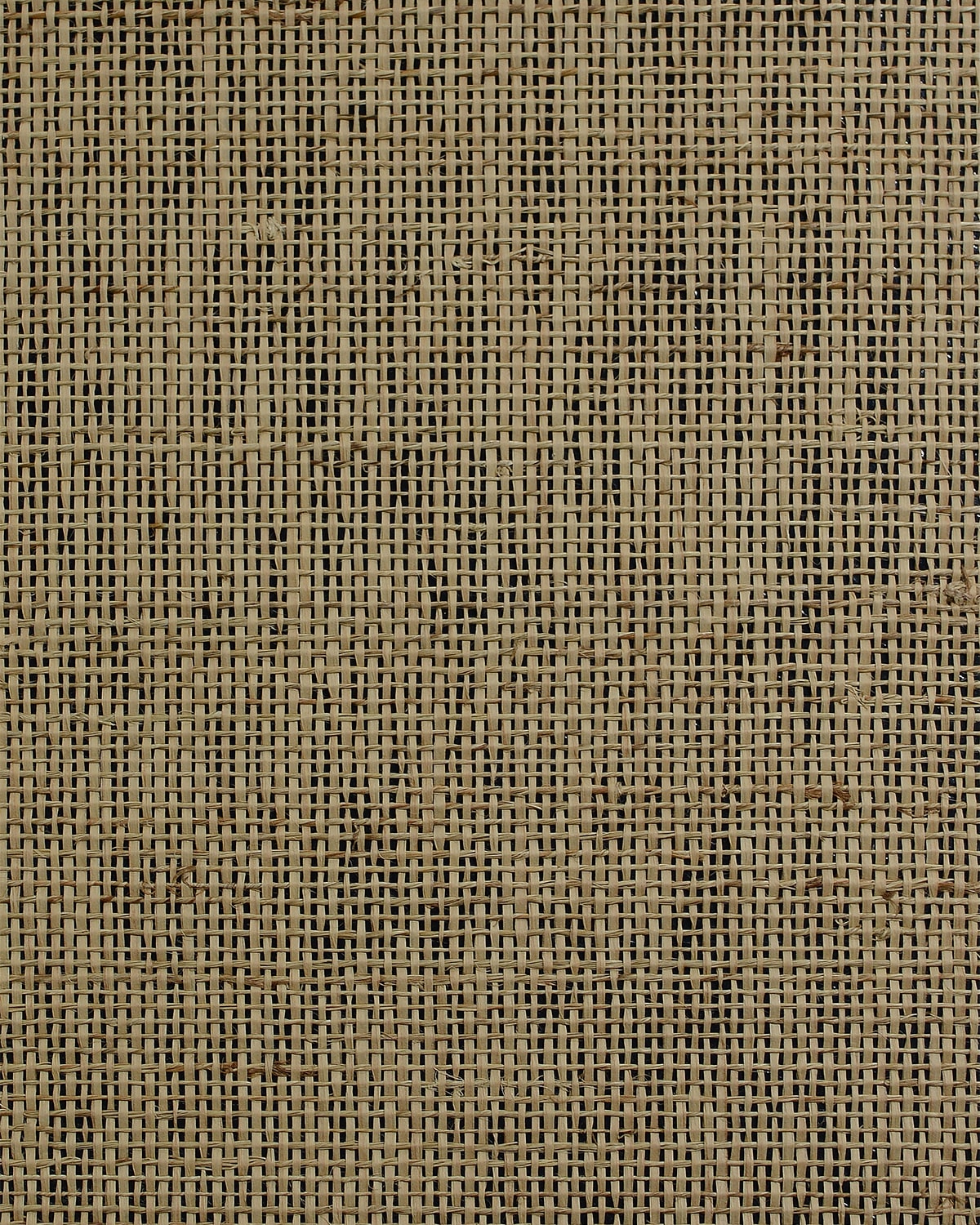 Lillian August Raw Jute Papyrus Wallpaper LN50086
