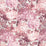Grey Watkins Grey'S Flower Garden Pinks Fabric Sample LO80370002