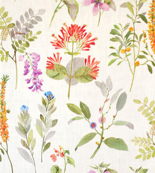 Grey Watkins Sissinghurst Coral / Multi Fabric Sample LO50160003