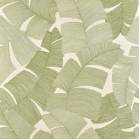 Pierre Frey Tikehau Palmier Wallpaper FP975003
