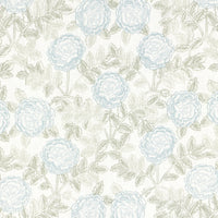 Kravet Couture Lyla Breeze/Grey Fabric LYLA.315.0