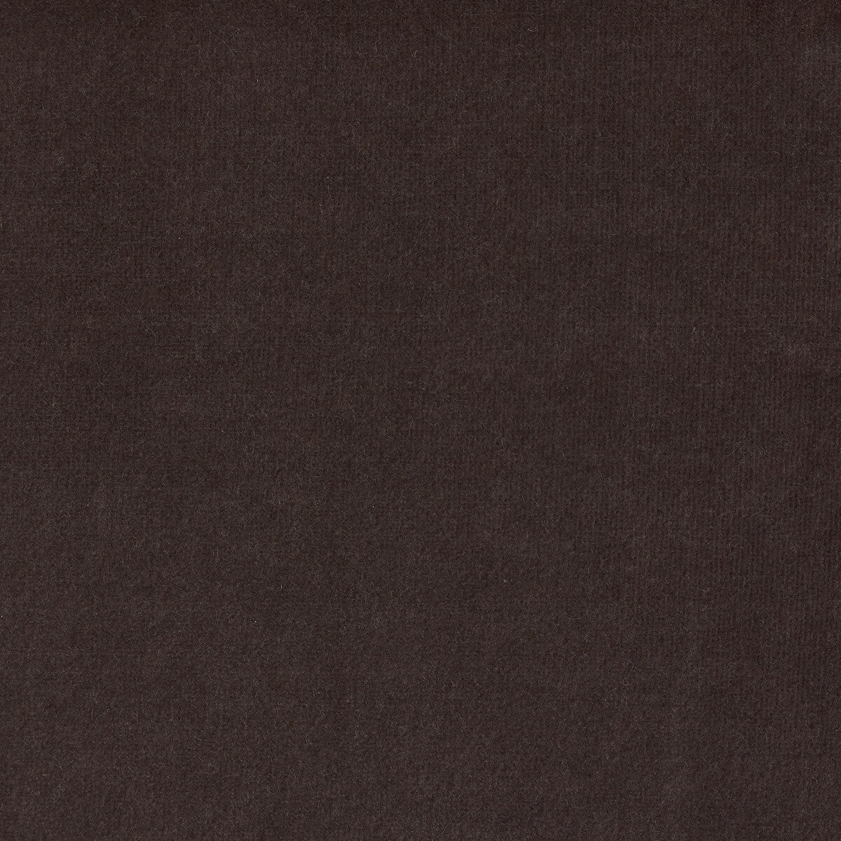 Kravet Design Eternal 1 Fabric Sample LZ-30219.01.0