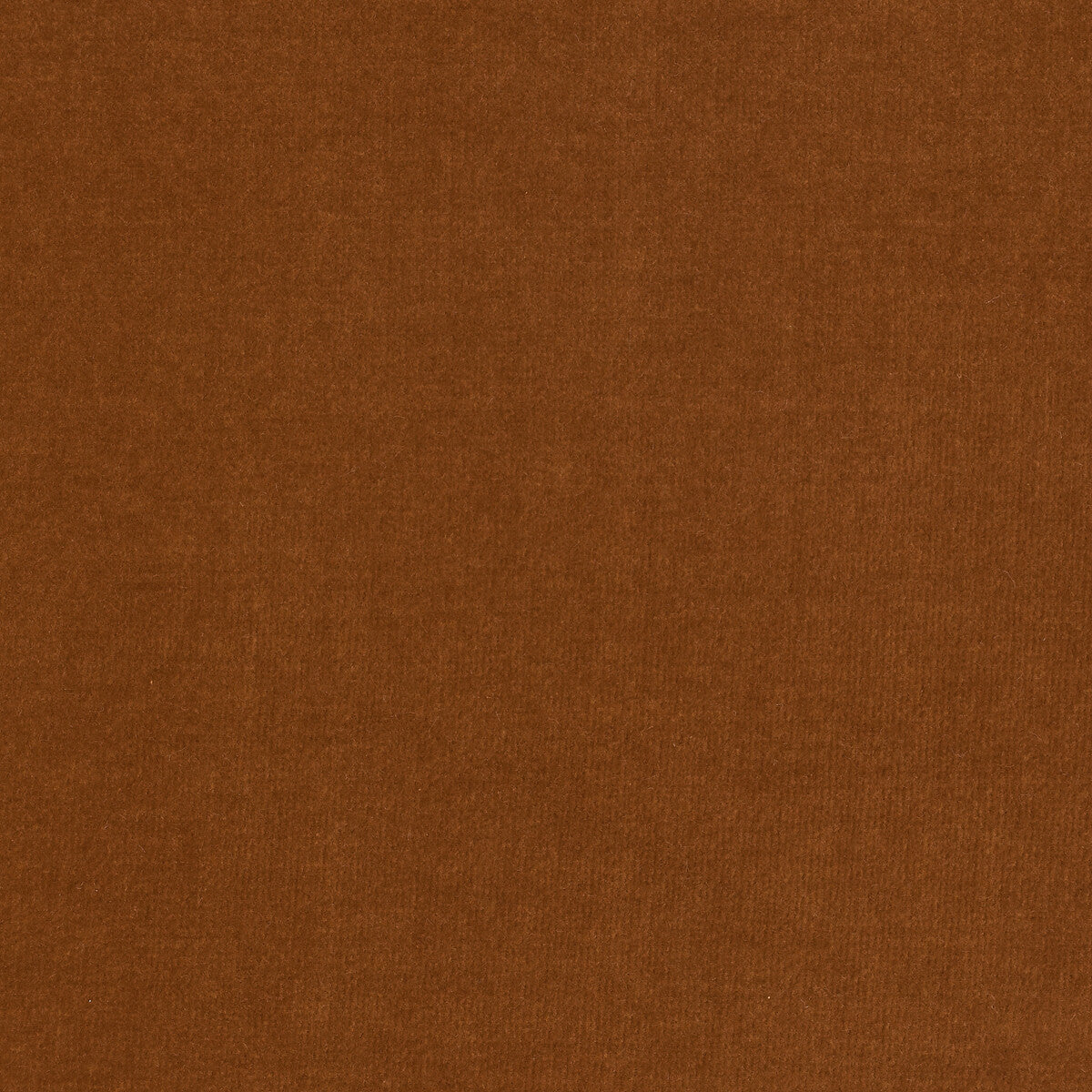 Kravet Design Eternal 8 Fabric Sample LZ-30219.08.0