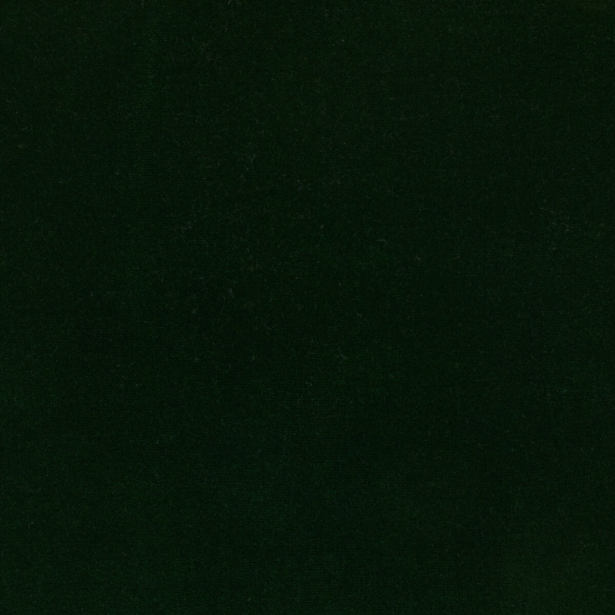 Kravet Design Eternal 23 Fabric Sample LZ-30219.23.0