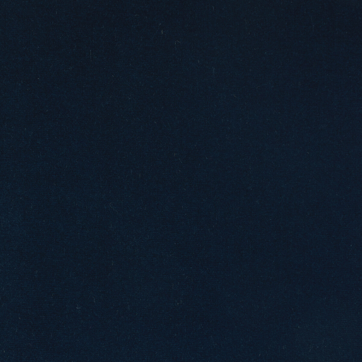 Kravet Design Eternal 24 Fabric Sample LZ-30219.24.0