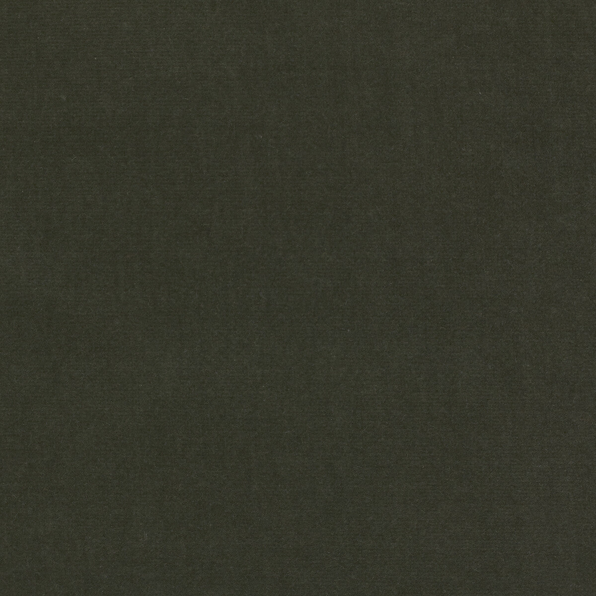 Kravet Design Eternal 29 Fabric Sample LZ-30219.29.0