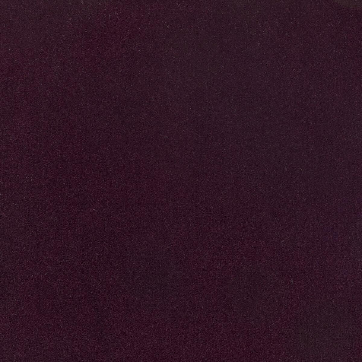 Kravet Design Eternal 32 Fabric Sample LZ-30219.32.0