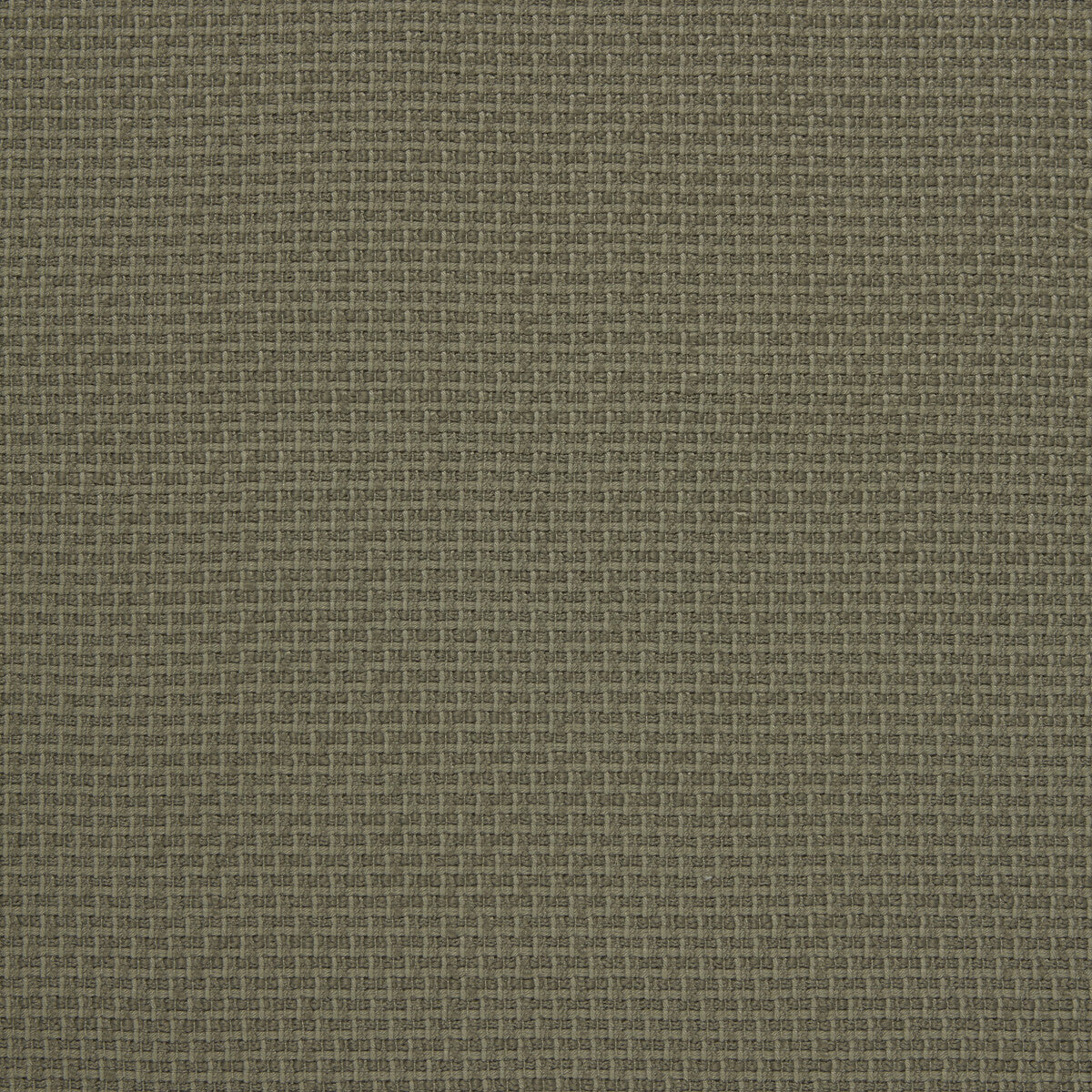 Kravet Design Lezna 01 Fabric Sample LZ-30428.01.0