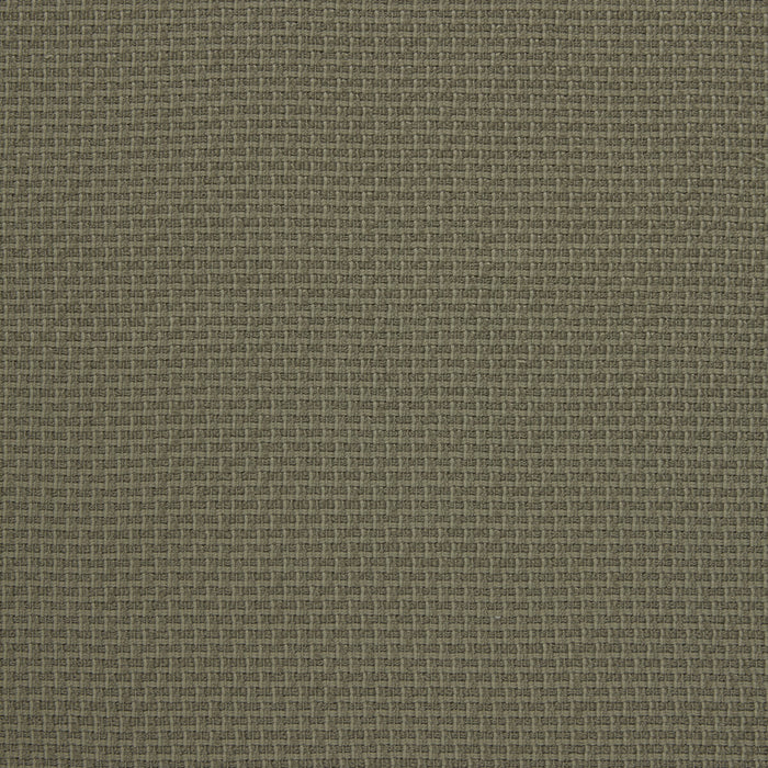 Kravet Design Lezna 01 Fabric Sample LZ-30428.01.0