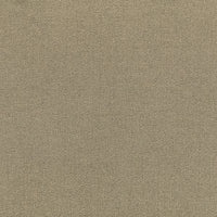 Kravet Couture Elephas 1 Fabric LZ-30443.01.0