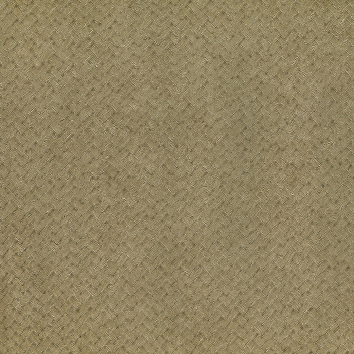 Kravet Design Cesto 1 Wallpaper Sample LZW-30181.01.0