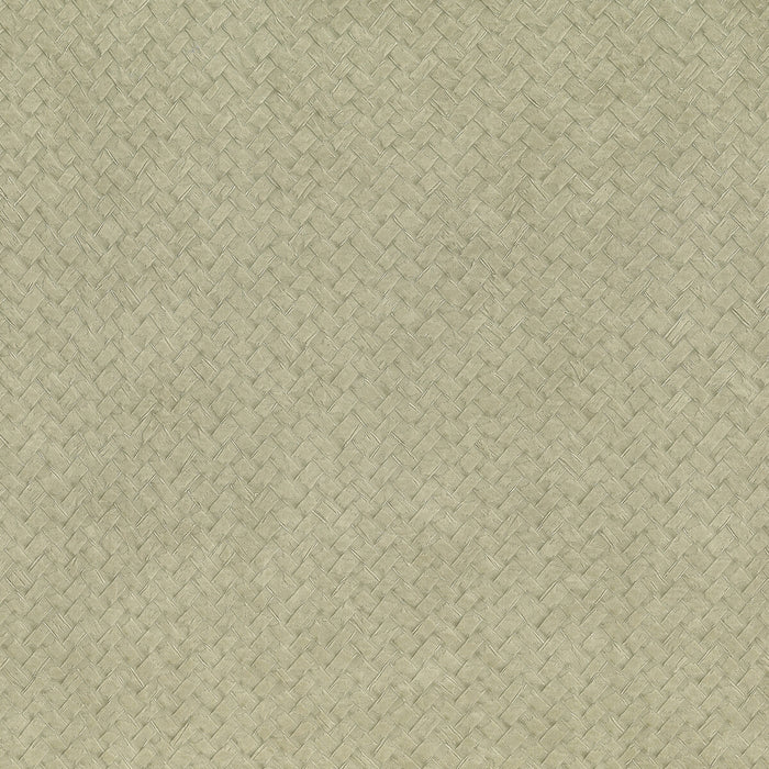 Kravet Design Cesto 3 Wallpaper LZW-30181.03.0
