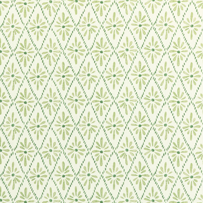 Kravet Basics Malina Grass Fabric MALINA.13.0