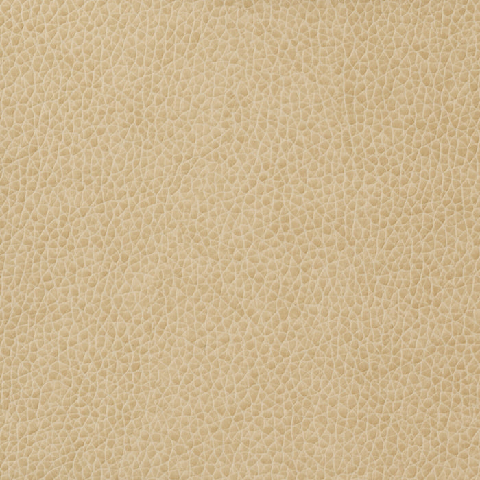 Kravet Basics MATTER.1116.0 Matter-1116 Fabric