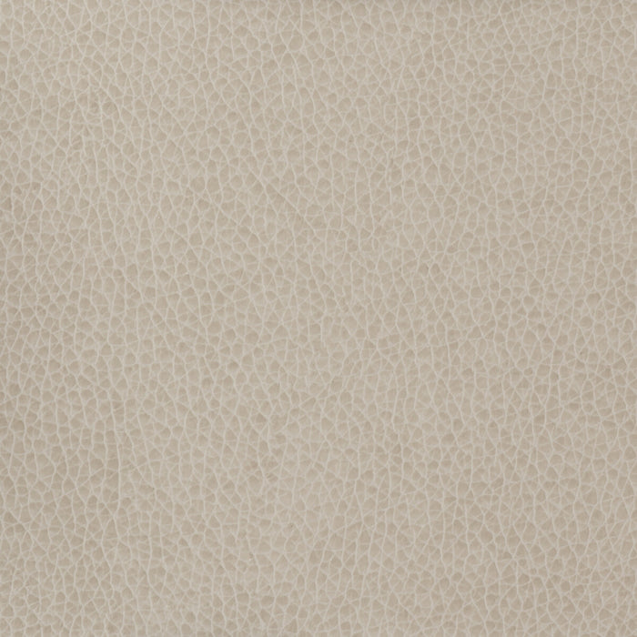 Kravet Basics MATTER.11.0 Matter-11 Fabric Sample