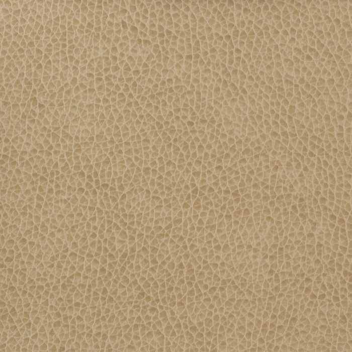 Kravet Basics MATTER.1616.0 Matter-1616 Fabric