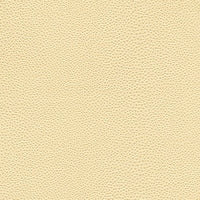 Kravet Design MINDY.1101.0 Fabric