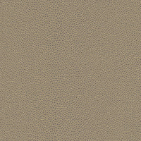 Kravet Design MINDY.2111.0 Fabric